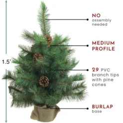 Northlight 18" Medium Royal Oregon Pine Burlap Base Artificial Christmas Tree - Unlit -Twinkly Popular Shop northlight v15923 thumbnail 87606.1604542604