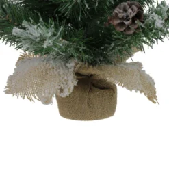 Northlight 24" Flocked Pine Artificial Christmas Tree In Burlap Base - Unlit -Twinkly Popular Shop northlight v28322 3 41703.1665580035
