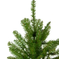 Northlight 10' Full Northern Pine Artificial Christmas Tree - Unlit -Twinkly Popular Shop northlight z84652 2 59361.1664380277