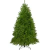 Northlight 6.5' Northern Pine Full Artificial Christmas Tree, Unlit