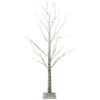 Northlight 4' Pre-Lit LED White Birch Tree Outdoor Decoration - White Lights -Twinkly Popular Shop northlightd 14 38471wae 59014.1587644044