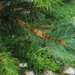 Northlight 3' Potted New Carolina Spruce Medium Artificial Christmas Tree - Unlit -Twinkly Popular Shop rkowk6mbzamyeerjxiezwdp4uyeezif9 96086.1665610423