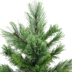 Northlight 2' Potted Mixed Cashmere Pine Medium Artificial Christmas Tree, Unlit 9 Northlight 2' Potted Mixed Cashmere Pine Medium Artificial Christmas Tree, Unlit -Twinkly Popular Shop scclbdtlfqwstfvkhlbn2xzdkmerznys 65955.1665580040