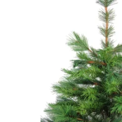 Northlight 3' Potted New Carolina Spruce Medium Artificial Christmas Tree - Unlit -Twinkly Popular Shop sizueobn2mf7pj7trpis4u3dkcb3ettz 19805.1665610422