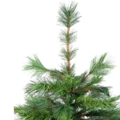 Northlight 3' Potted New Carolina Spruce Medium Artificial Christmas Tree - Unlit -Twinkly Popular Shop uhh7kqhyncdfvobsq1vrzr5qfg3fuhvq 17650.1665610422