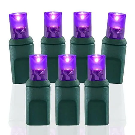 70 Light Purple 5 Mm Wide Angle Conical LED Christmas Lights 3 70 Light Purple 5 Mm Wide Angle Conical LED Christmas Lights