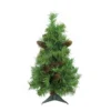 Northlight 2' Full Dakota Pine Artificial Christmas Tree - Unlit -Twinkly Popular Shop zrrk55rmac4mcjtpqodsijqbnbrydqco 84397.1587644189